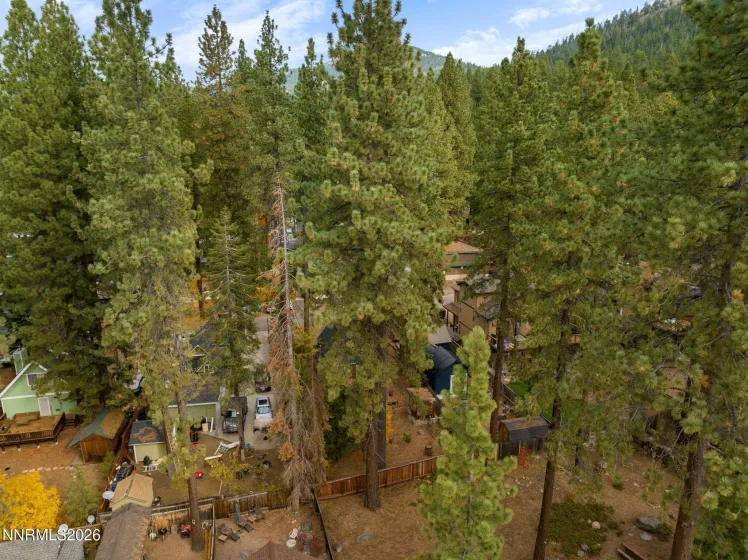 8792 Salmon, Kings Beach, California 96143, 1 Bedroom Bedrooms, ,1 BathroomBathrooms,Residential,Residential,Salmon,0,260013687