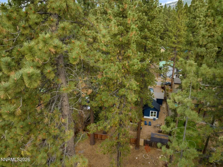 8792 Salmon, Kings Beach, California 96143, 1 Bedroom Bedrooms, ,1 BathroomBathrooms,Residential,Residential,Salmon,0,260013687